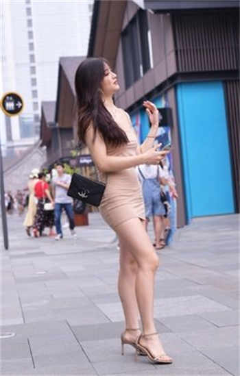alleys贝拉七部是哪七部