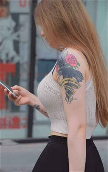 大象dx永久dx555xyz