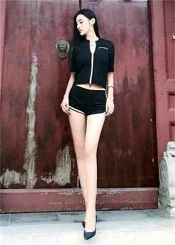永久视频会员软件