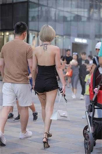大象回家导航24小时